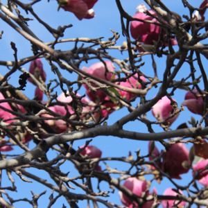 Meet your Posher, Maureen